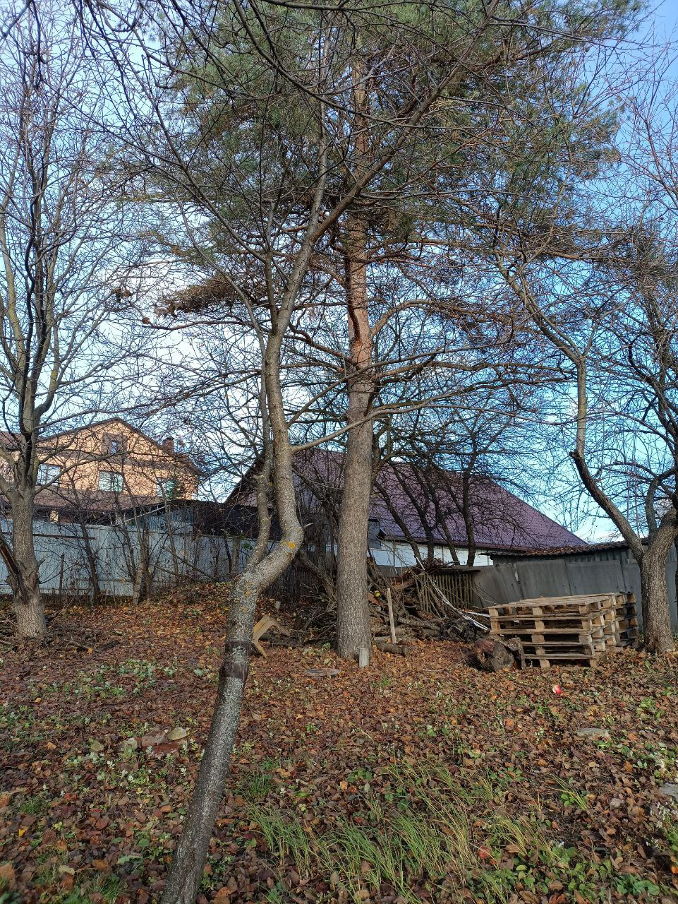 СРОЧНАЯ ПРОДАЖА ❗ ТОРГ УМЕСТЕН. Дача находится в тихом, спокойном месте. рядом магазины, школа, детский сад. Вода и газ проходят по границе участка. В доме есть печное отопление.